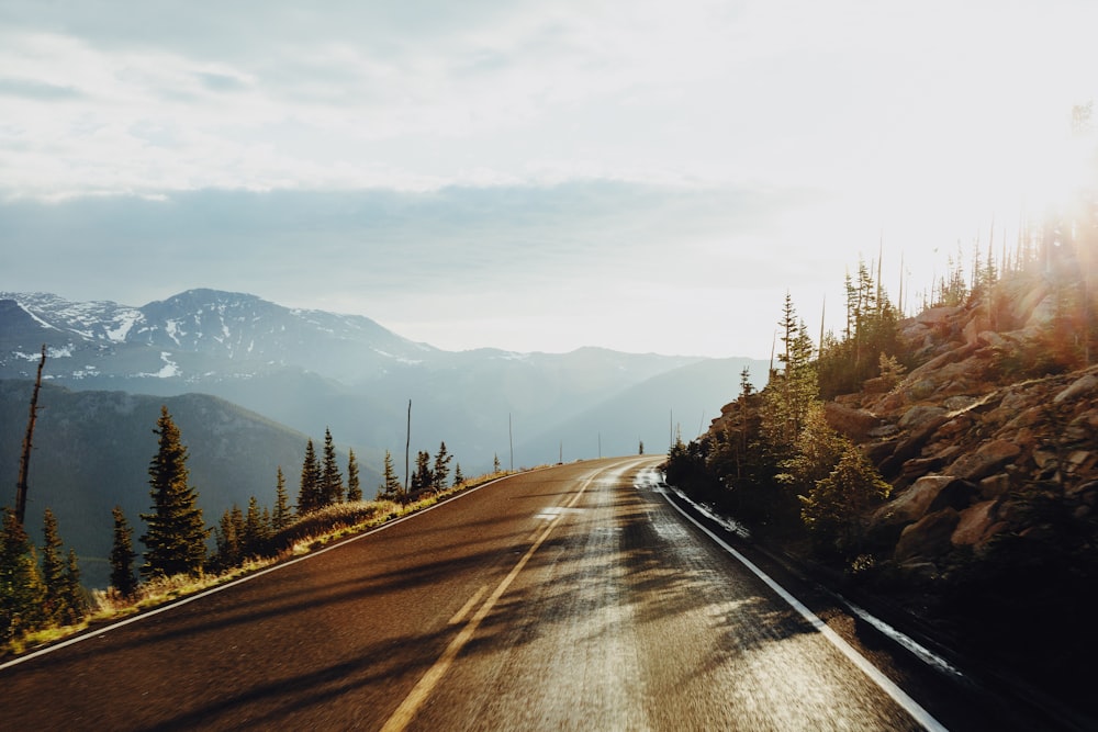 route entourée d’arbres