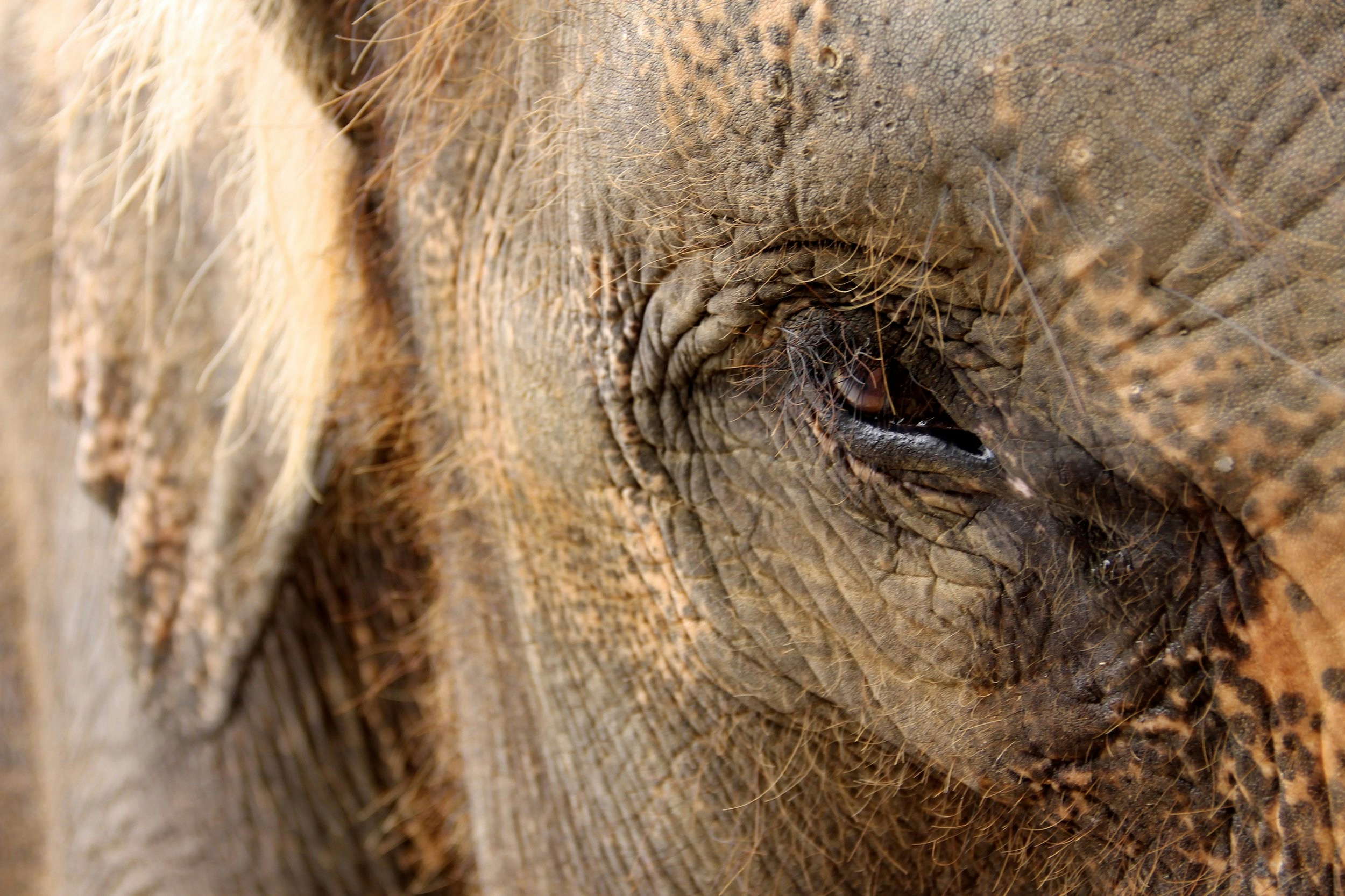 Free Unsplash photo from Megan Soule