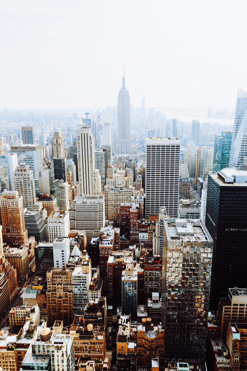 birds-eye view photo of city buildings with fog