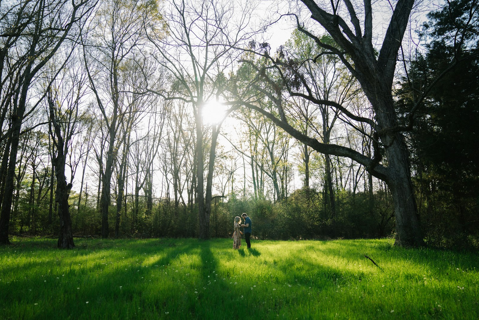 Sony a7 II + Sony FE 24-70mm F2.8 GM sample photo. Woman and man under photography