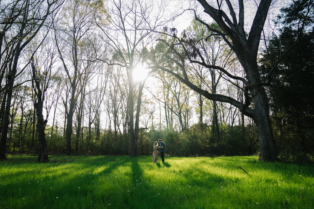 mulher e homem sob árvores de folhas verdes durante o dia
