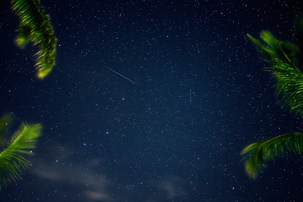 view of starry sky