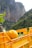 A yellow lemon with green leaves rests in a bright yellow plastic crate. In the background, rocky cliffs and lush greenery provide a natural setting.