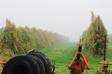 An expansive vineyard on a foggy day, with rows of grapevines extending into the distance. The grapevines are lush and tinged with autumn colors. In the foreground, there are several pieces of farm equipment, including tires and rusted machinery, suggesting agricultural activity.
