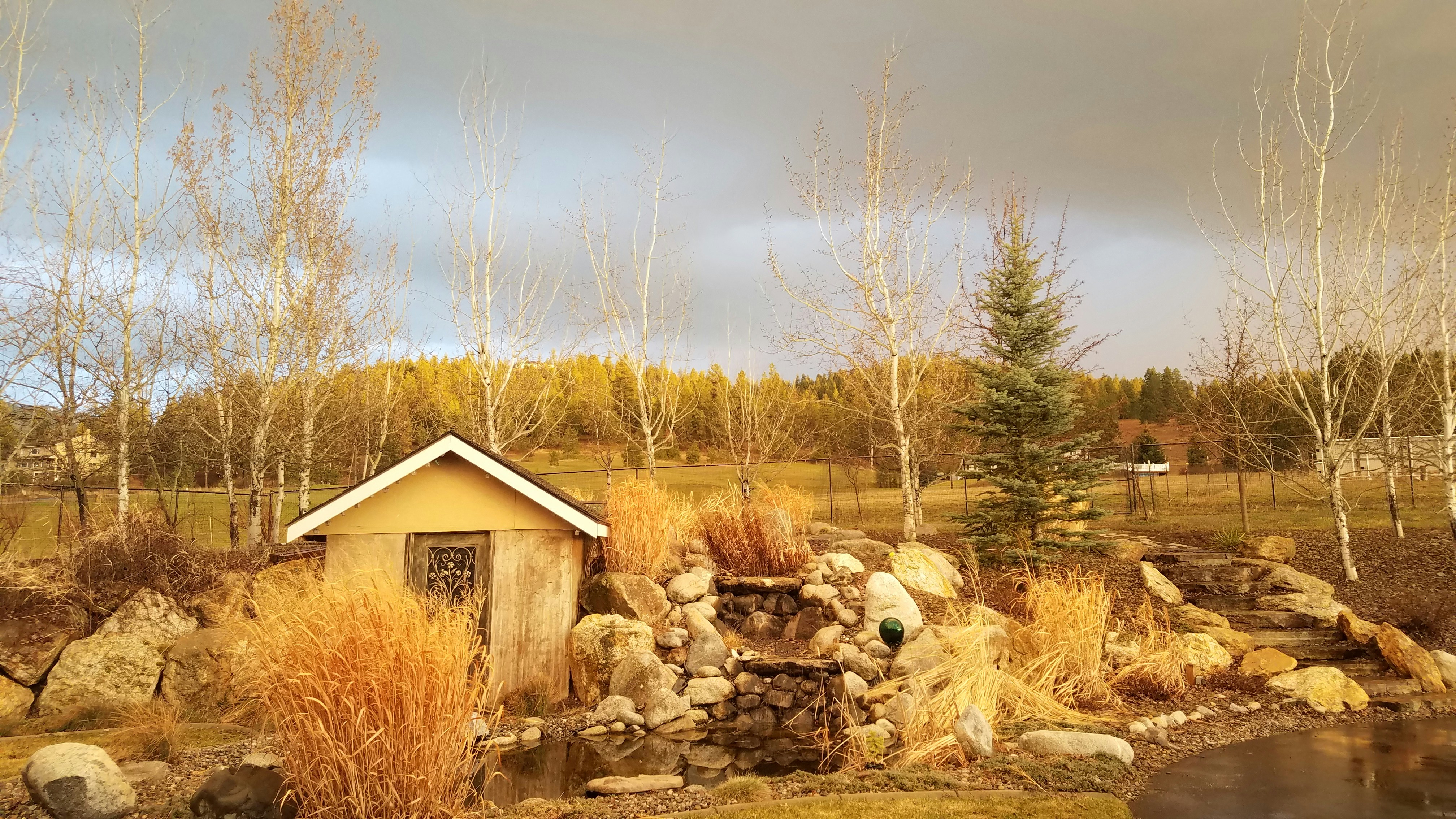 Free Unsplash photo from Nick Peterson