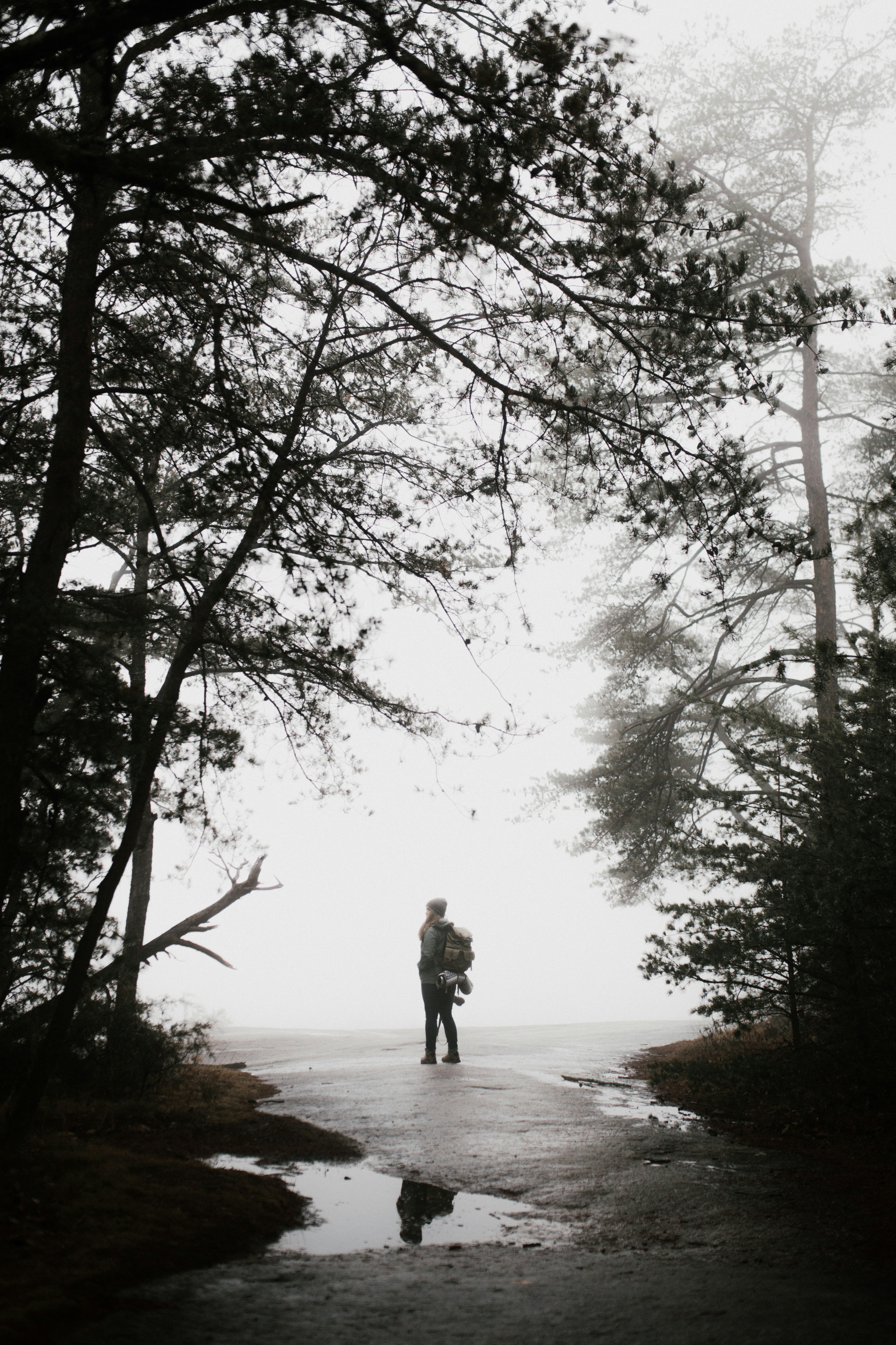 Instagram - @andrewtneel | Donations - paypal.me/AndrewNeel
