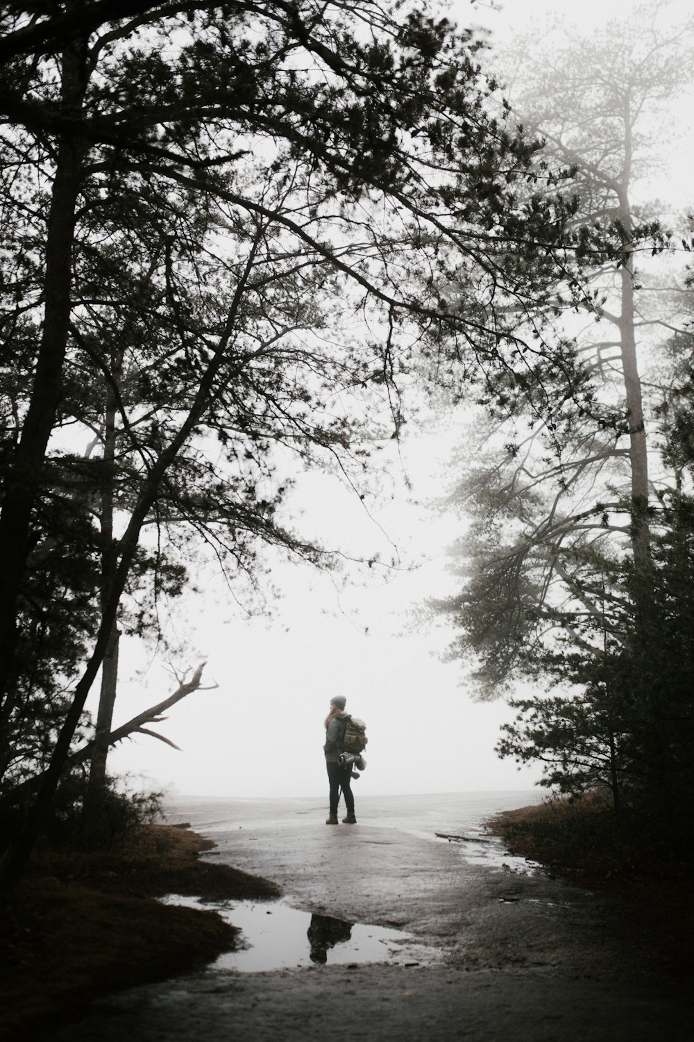 silhouette photo of person standing near tree