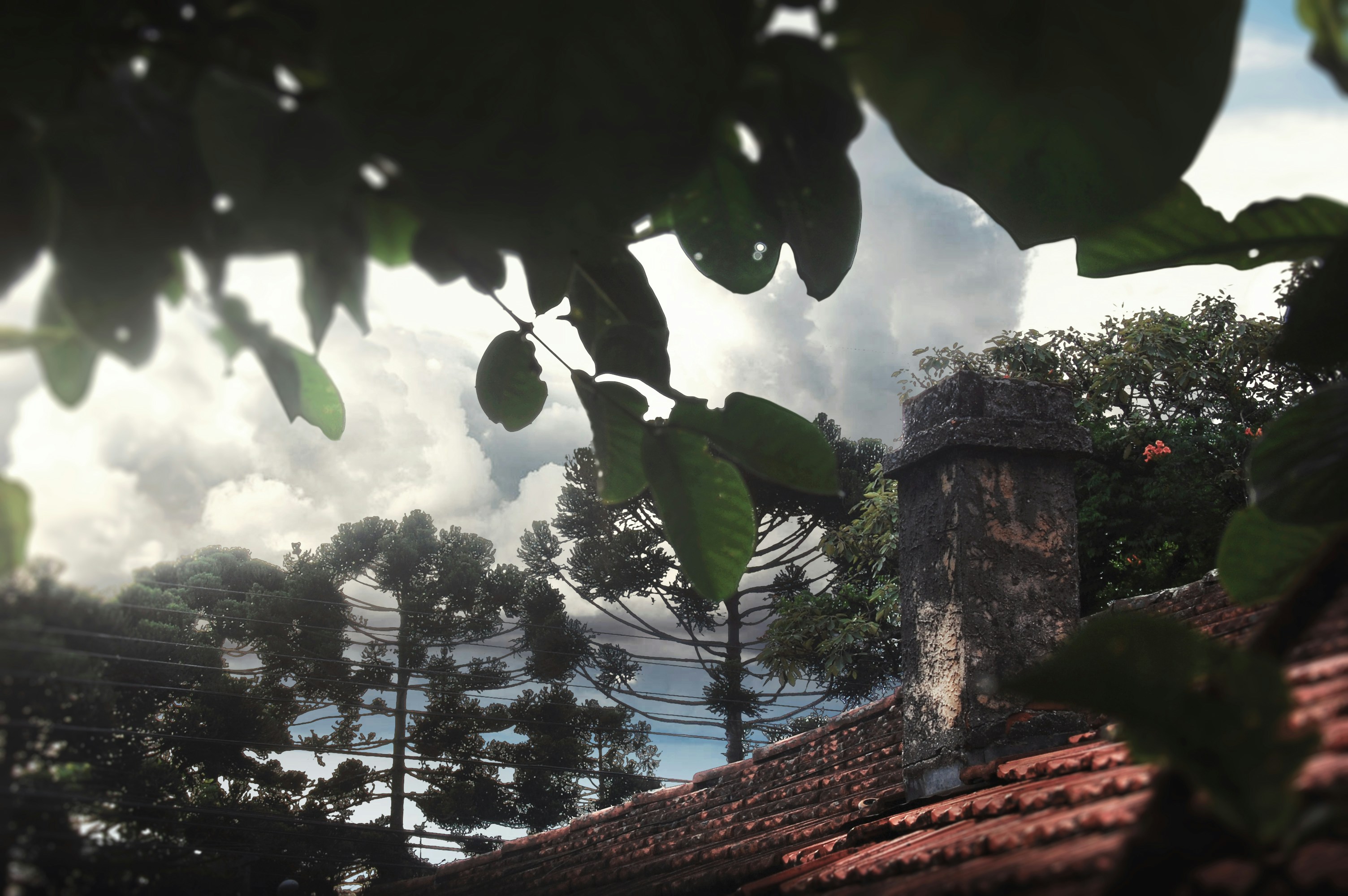 Free Unsplash photo from Eduardo Jaeger