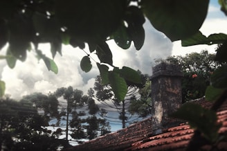 A rustic chimney surrounded by lush greenery.