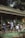 Several people are engaged in gardening work under a bamboo structure, planting and arranging plants with precision. The setting is outdoors, surrounded by trees and natural elements.