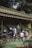 Several people are engaged in gardening work under a bamboo structure, planting and arranging plants with precision. The setting is outdoors, surrounded by trees and natural elements.