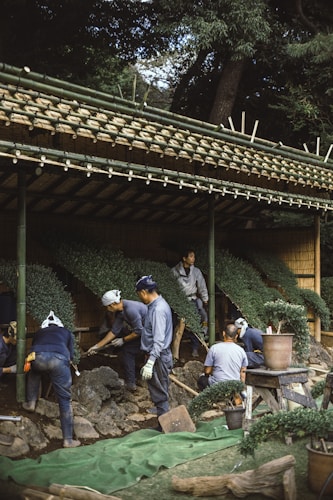 Several people are engaged in gardening work under a bamboo structure, planting and arranging plants with precision. The setting is outdoors, surrounded by trees and natural elements.