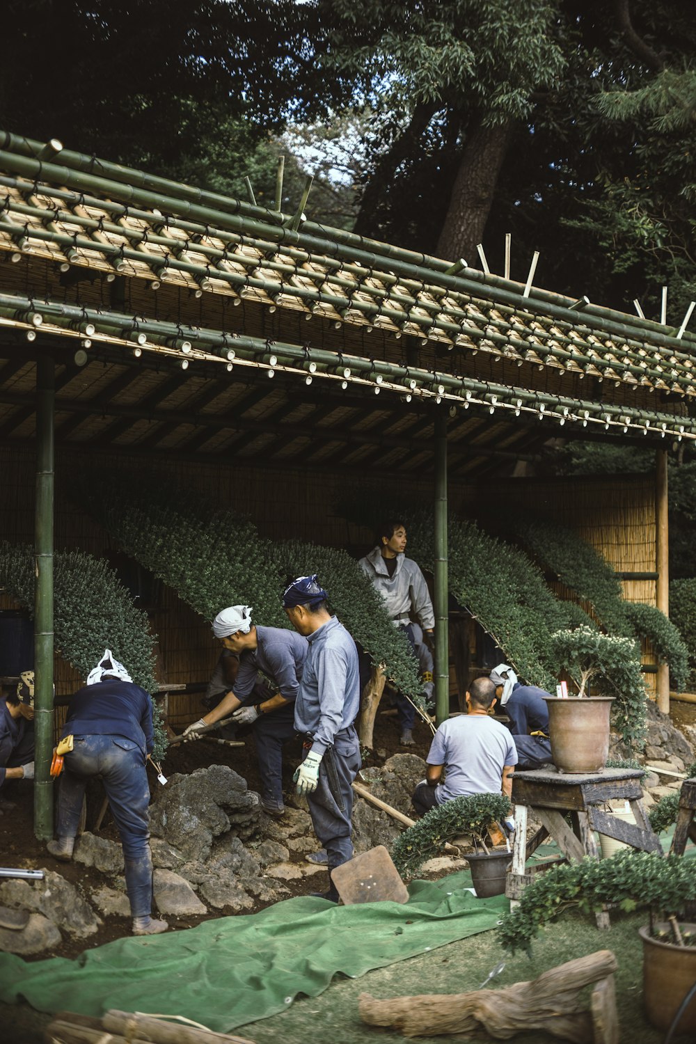 seven persons surrounded with plants