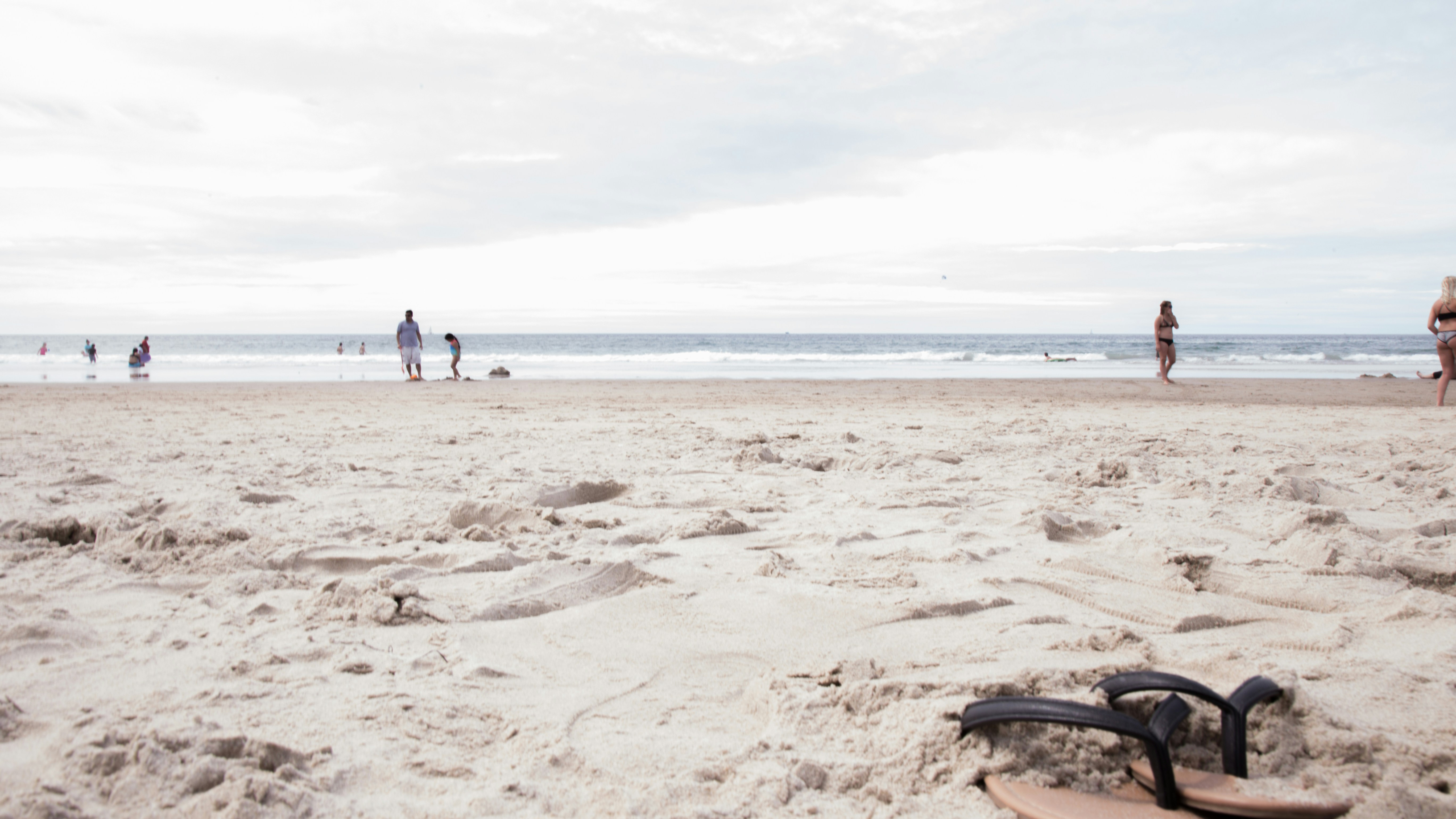 Free Unsplash photo from Elsie Sanchez