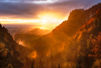 A warm sunrise over a Texas hill, with autumn leaves scattered on a hiking trail.