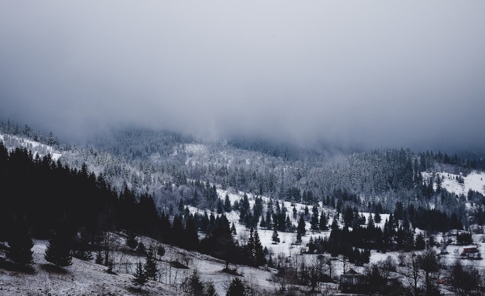 fotografia di paesaggio di neve coperta di montagna