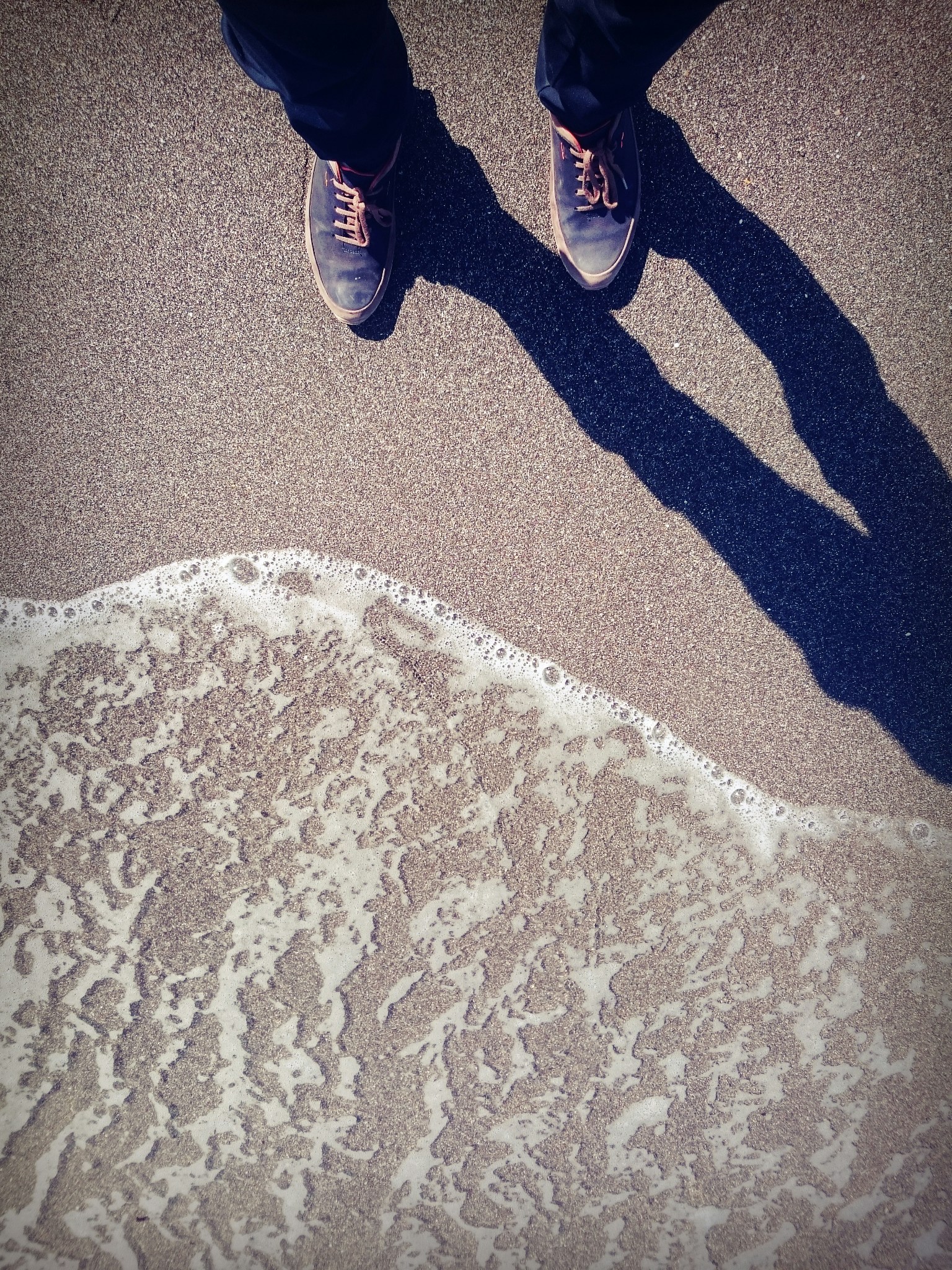 Free Unsplash photo from Javad  Shafiee