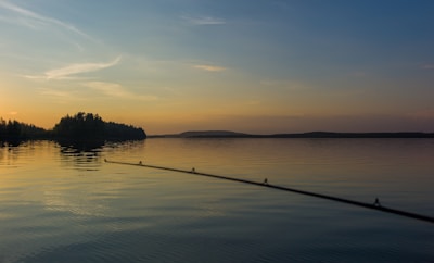 A serene lake landscape at sunset with calm water reflecting the golden and blue hues of the sky. Dense tree silhouettes outline the horizon, and a fishing rod extends into the frame, suggesting a peaceful fishing scene.
