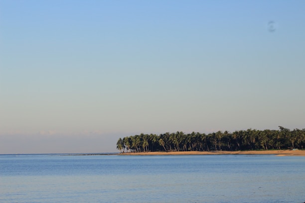 A serene image of palm trees by the Mediterranean Sea.