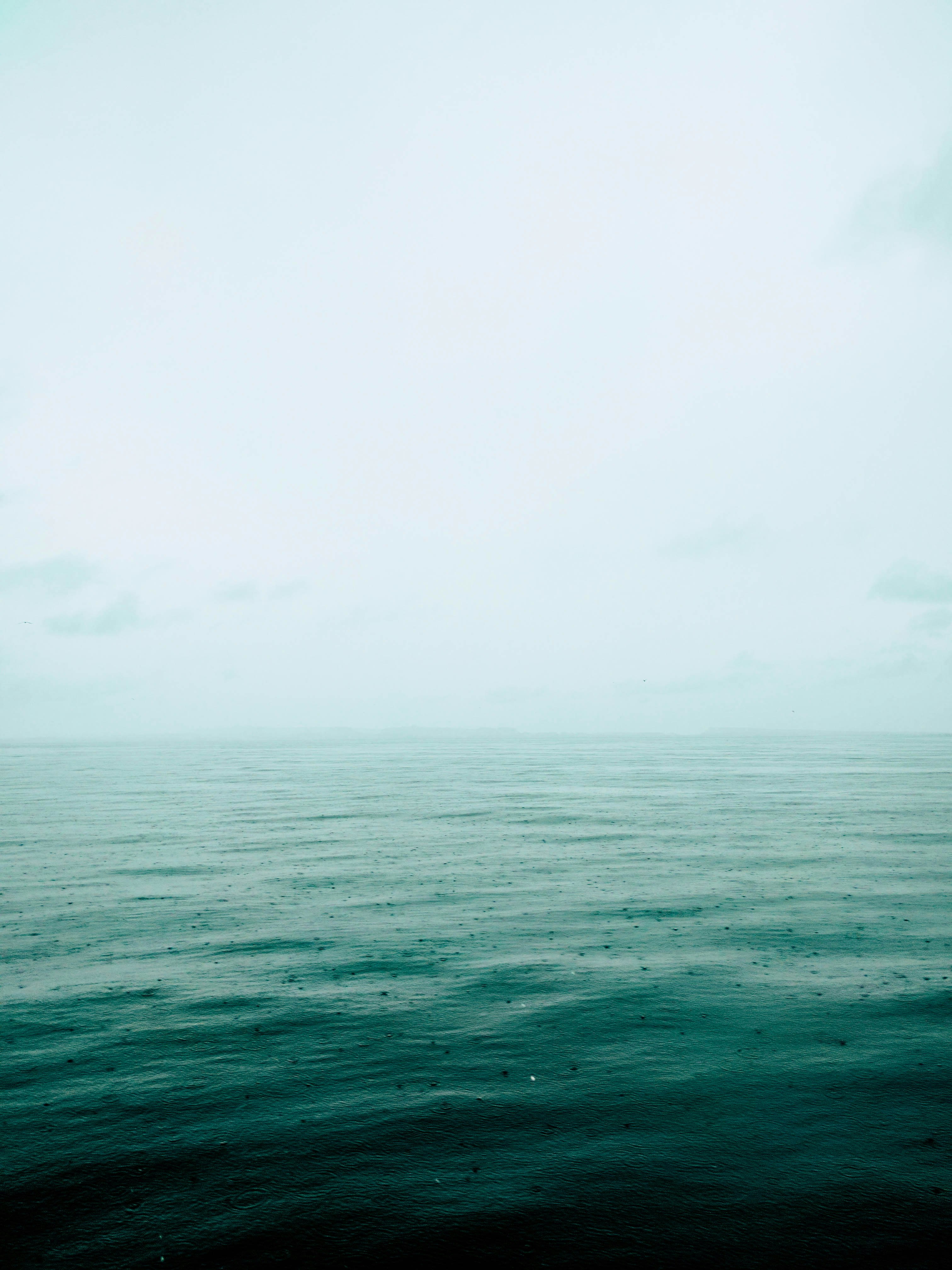 Free Unsplash photo from mohammad alizade