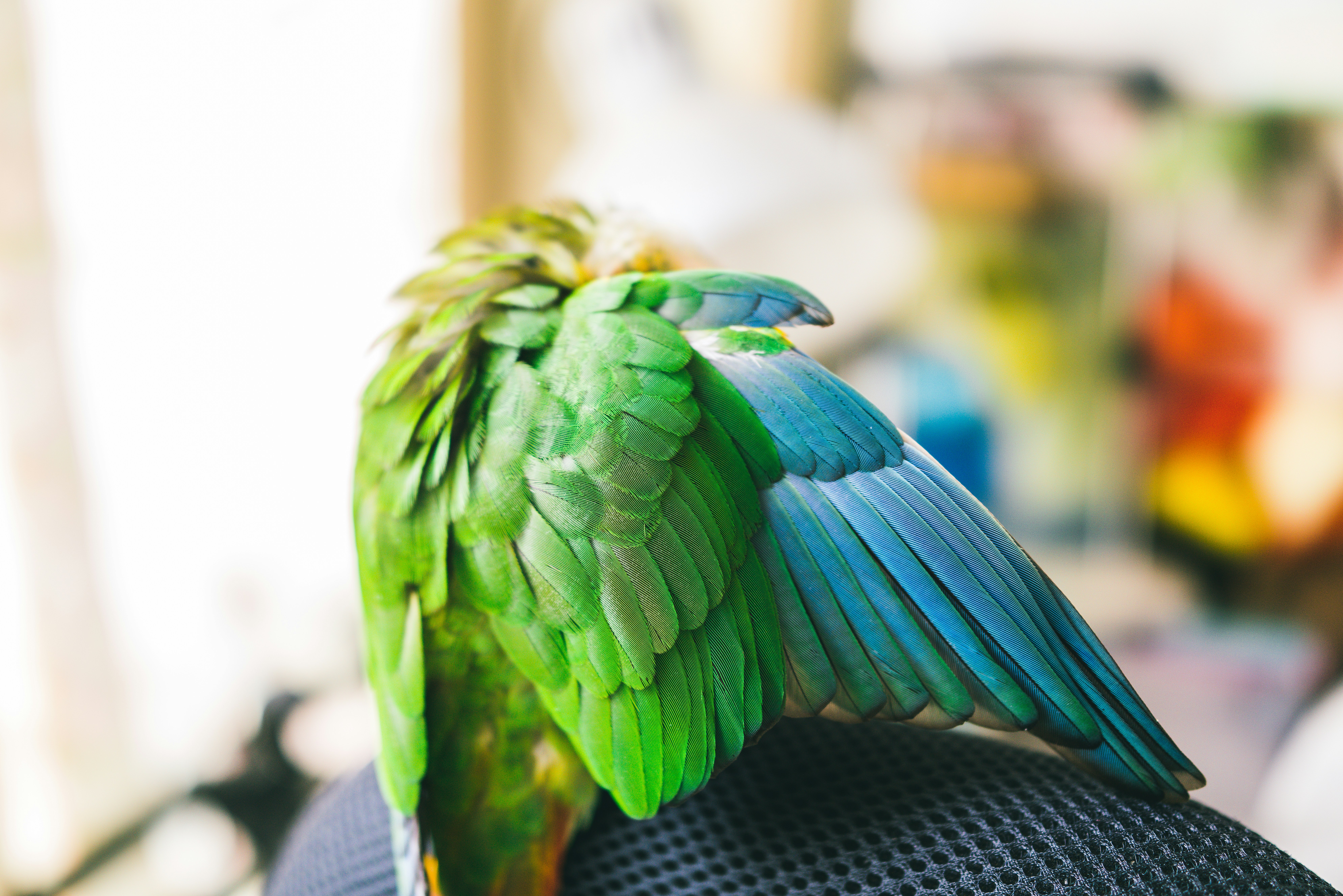 Free Unsplash photo from C MA