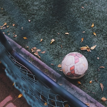 white and red soccer ball on green grass