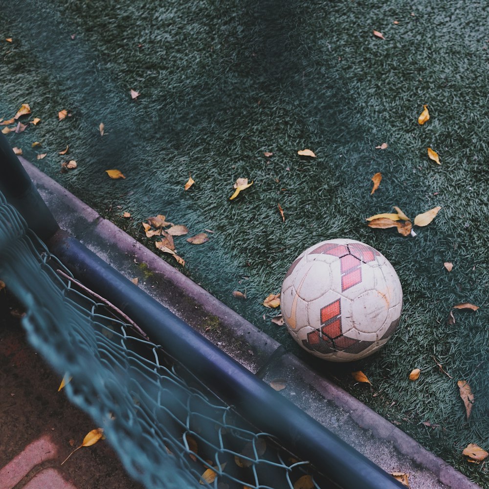 white and red soccer ball on green grass