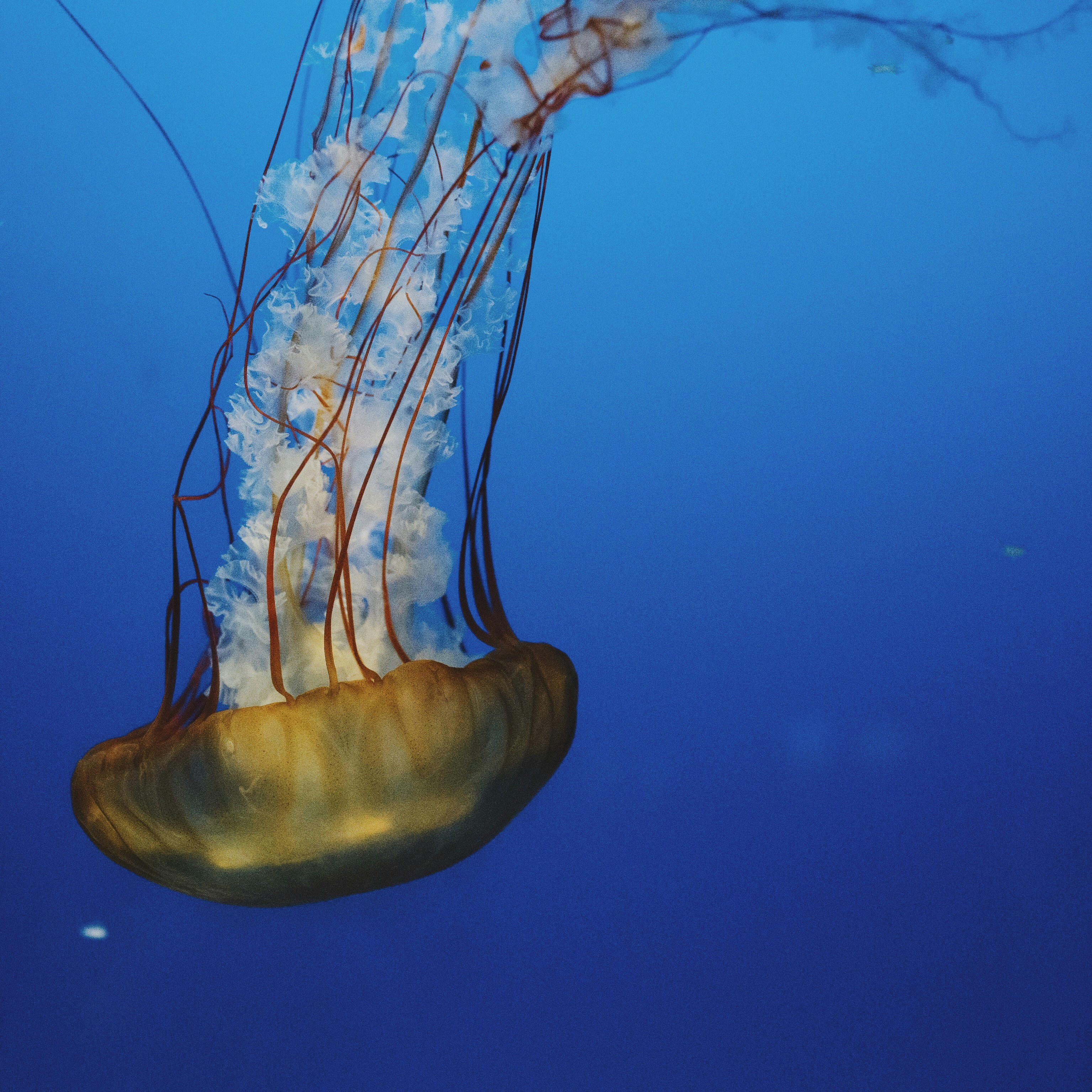 Free Unsplash photo from C MA