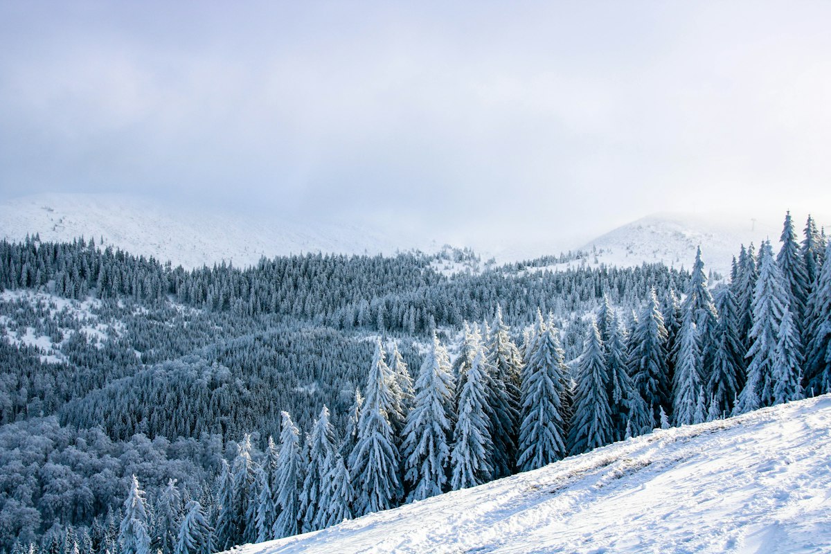 Feldberg photo 1