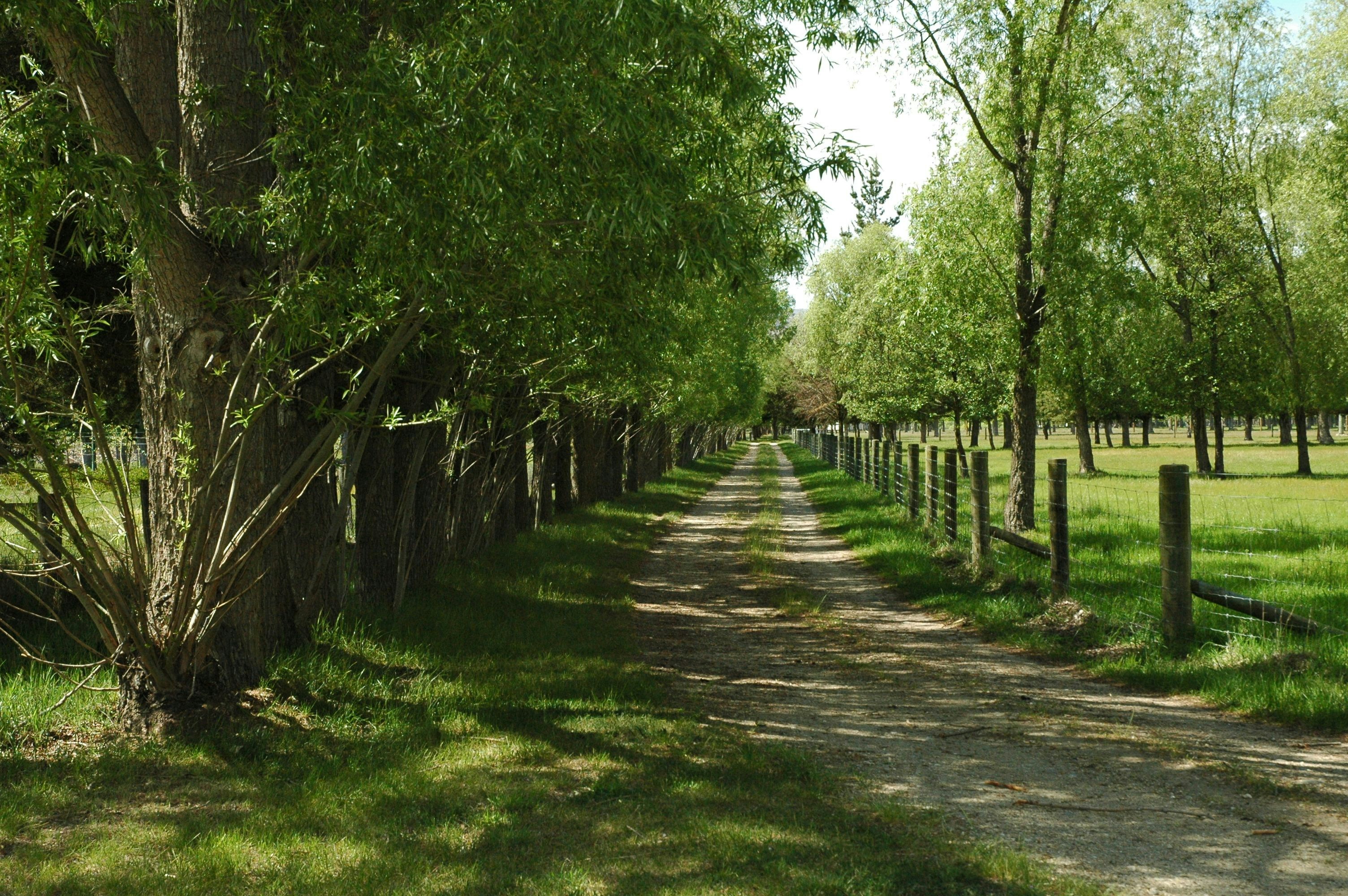 Free Unsplash photo from luana soares dourado