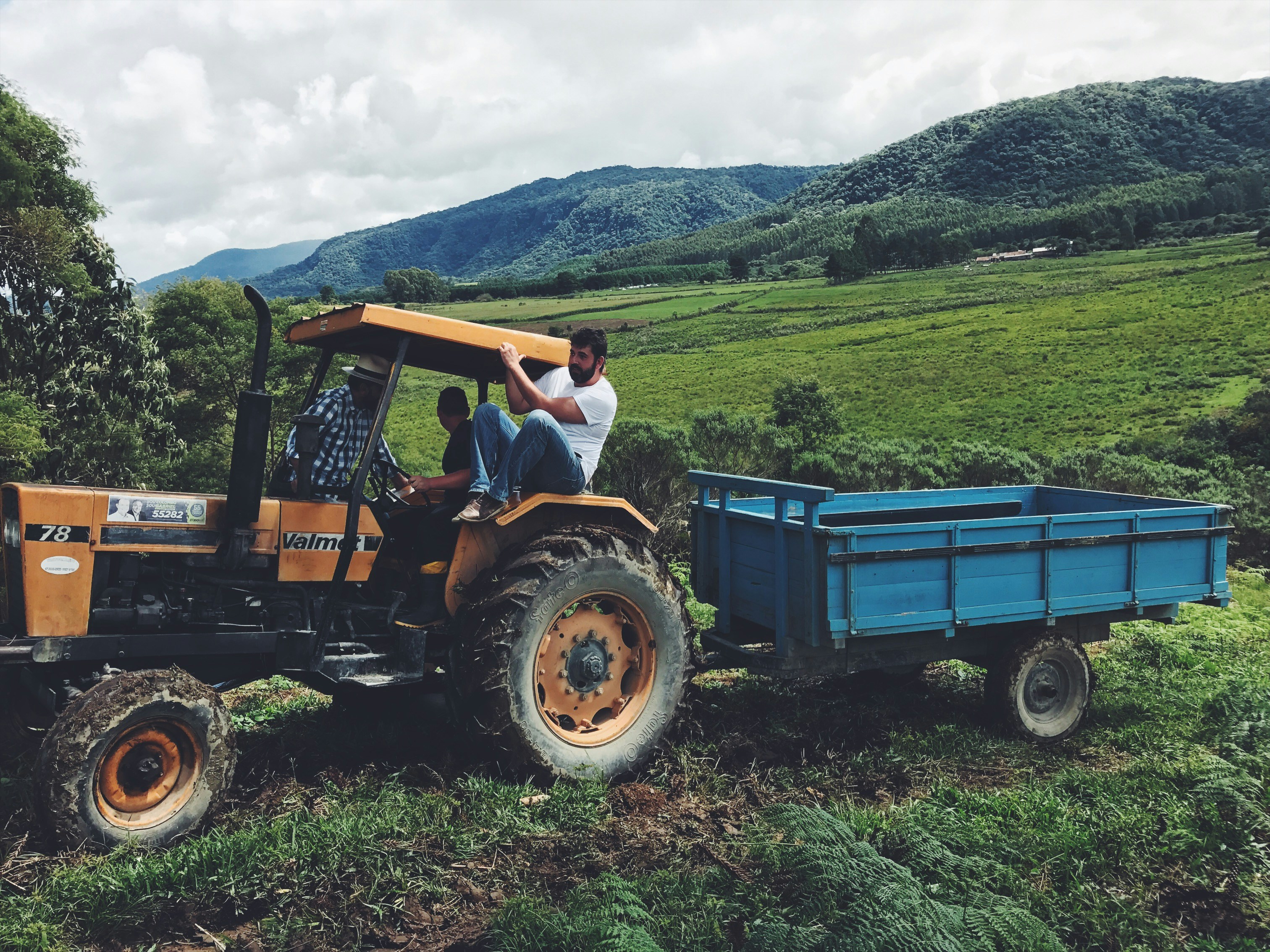 Free Unsplash photo from Maurício Fernandes