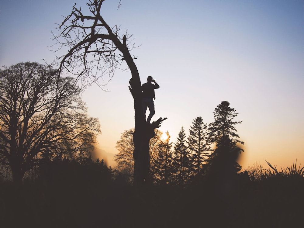 silhouette photography of person standing on leafless tree