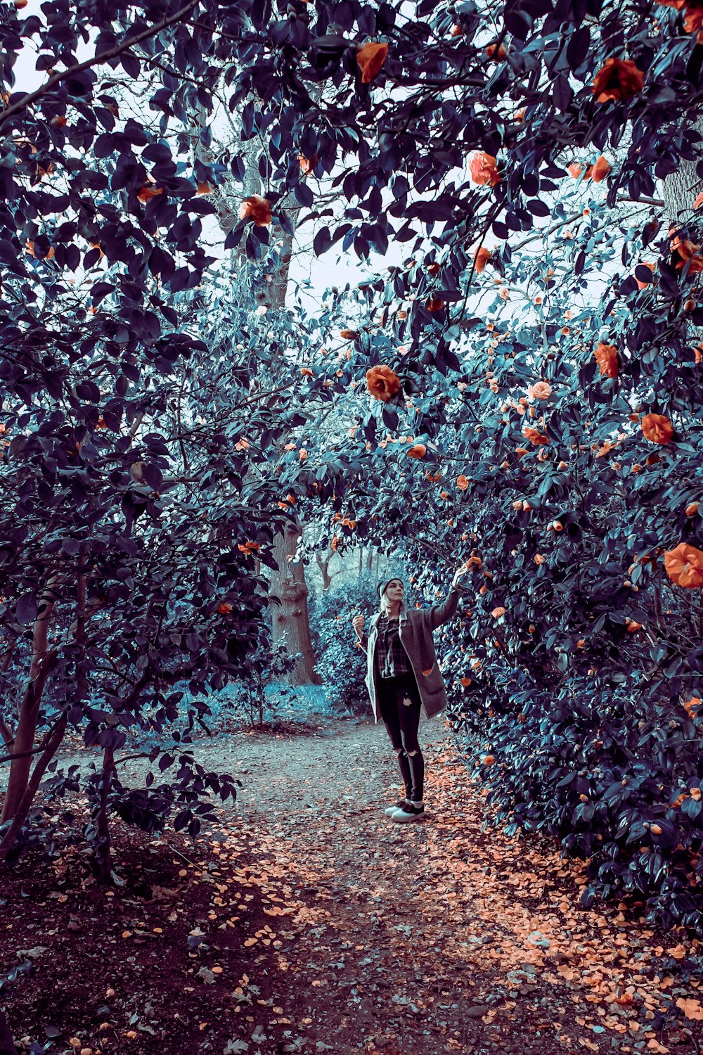 person walking underneath trees