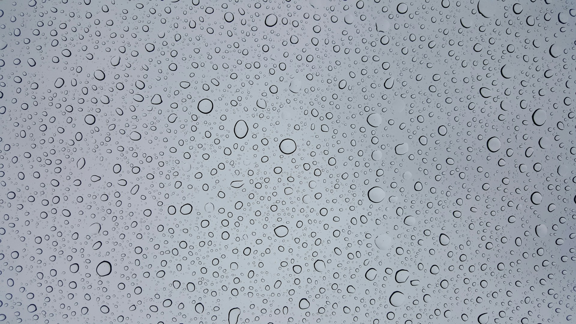selective focus photography of water droplets