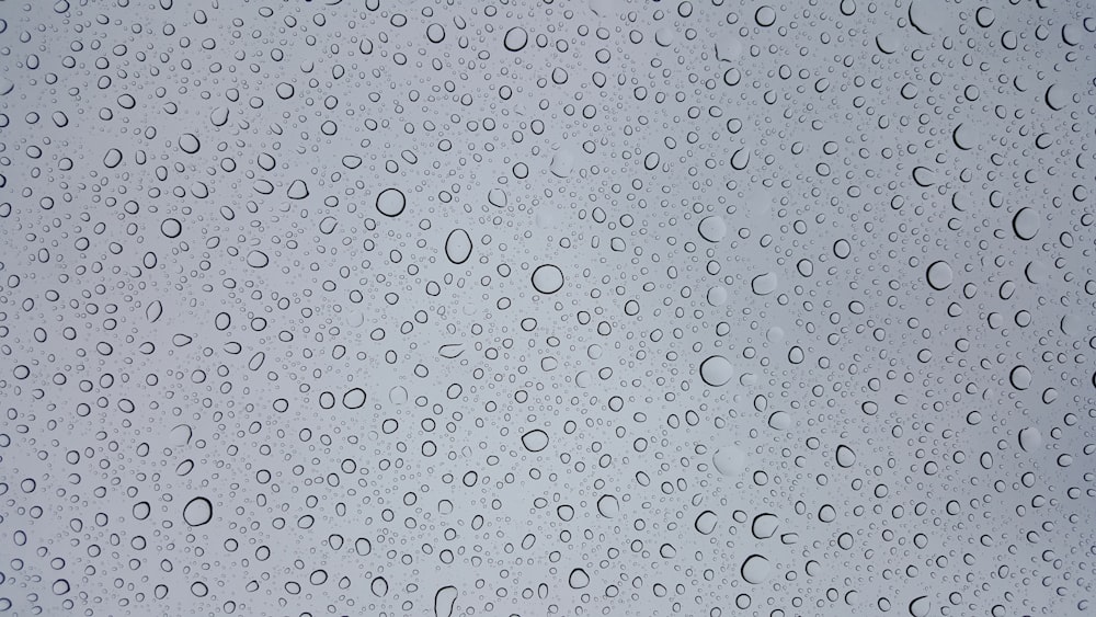 selective focus photography of water droplets