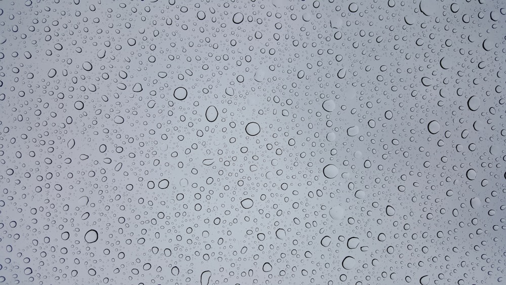 fotografia de foco seletivo de gotículas de água