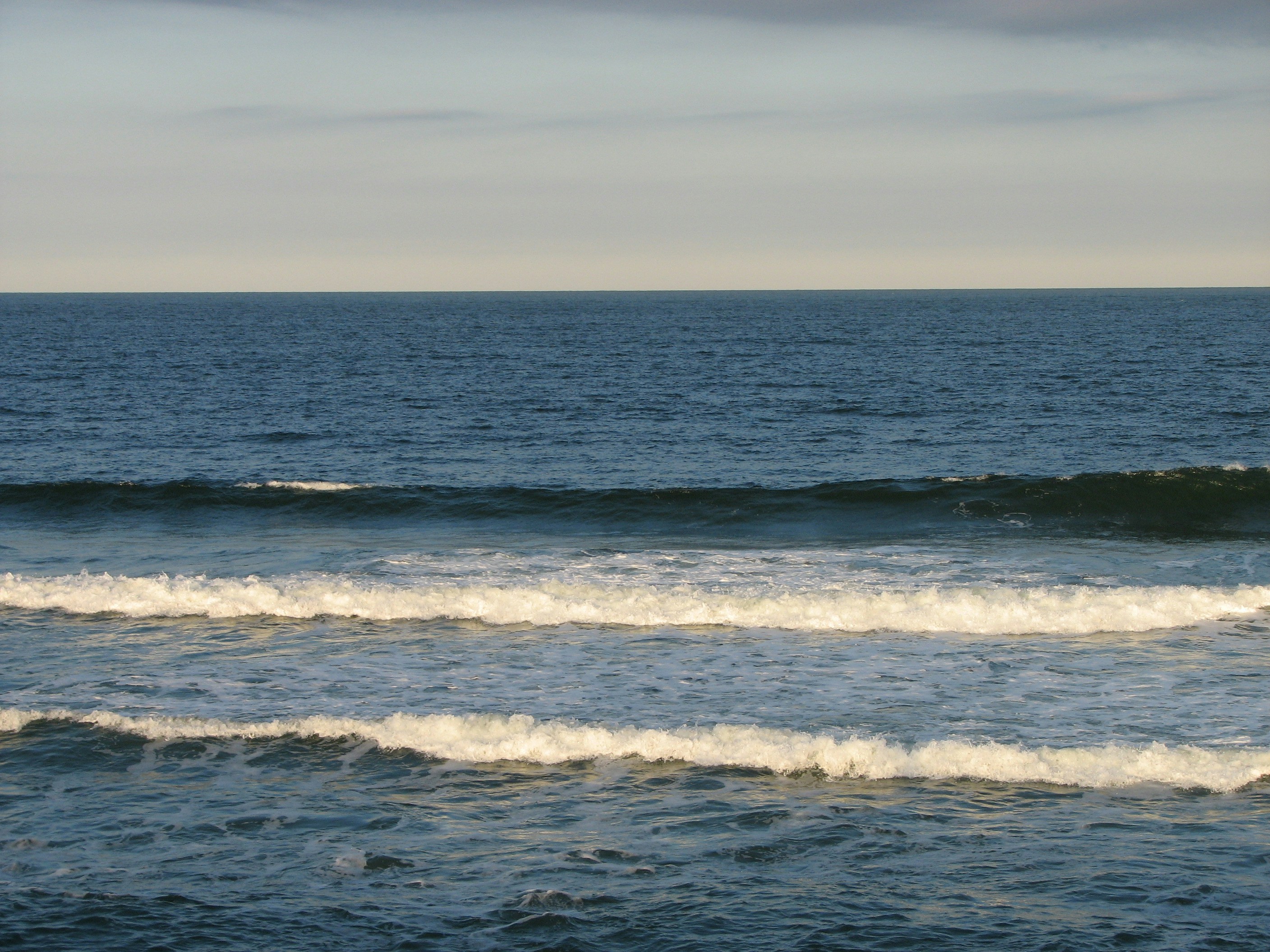 Free Unsplash photo from Sonia Trois