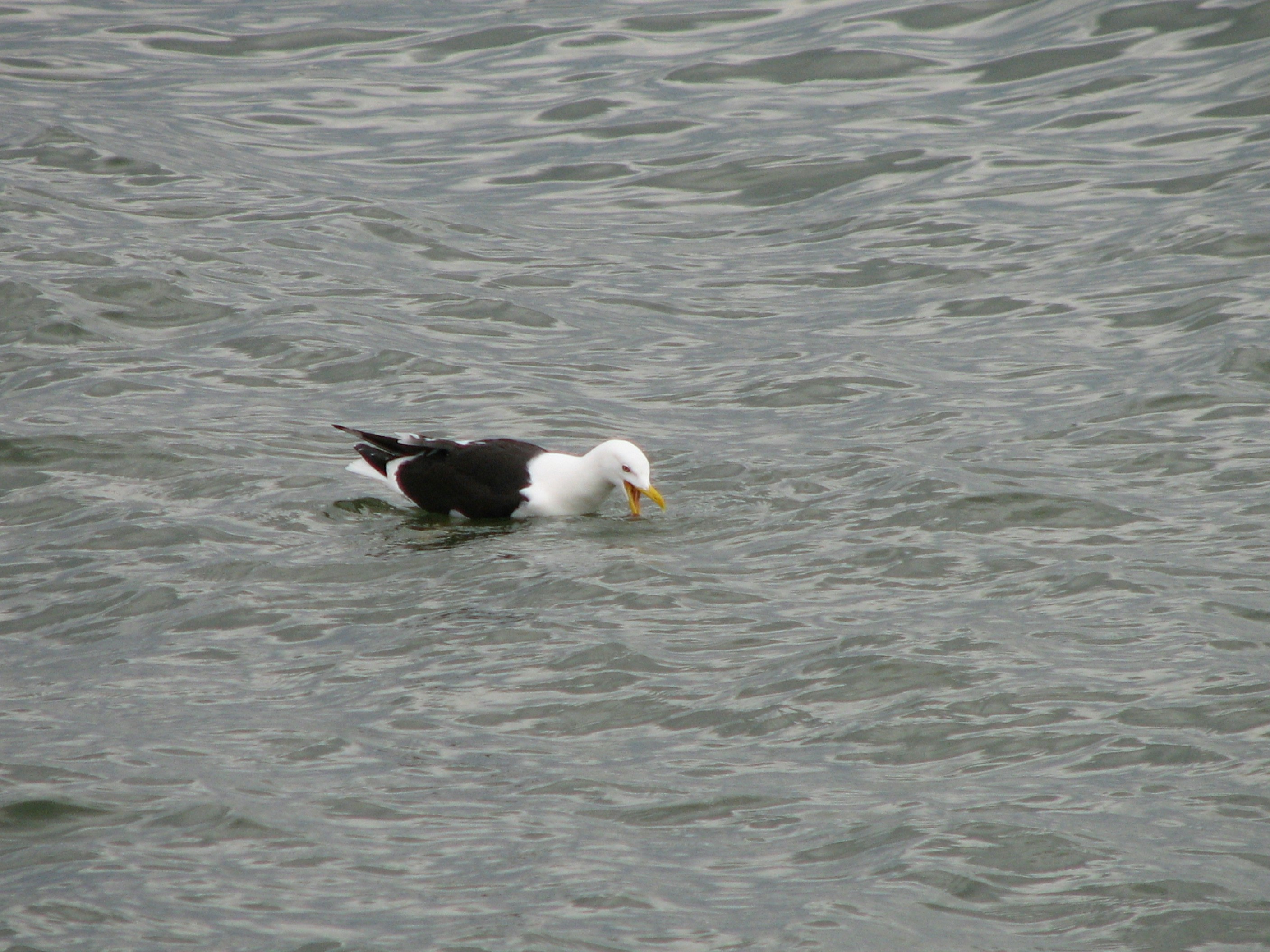 Free Unsplash photo from Sonia Trois