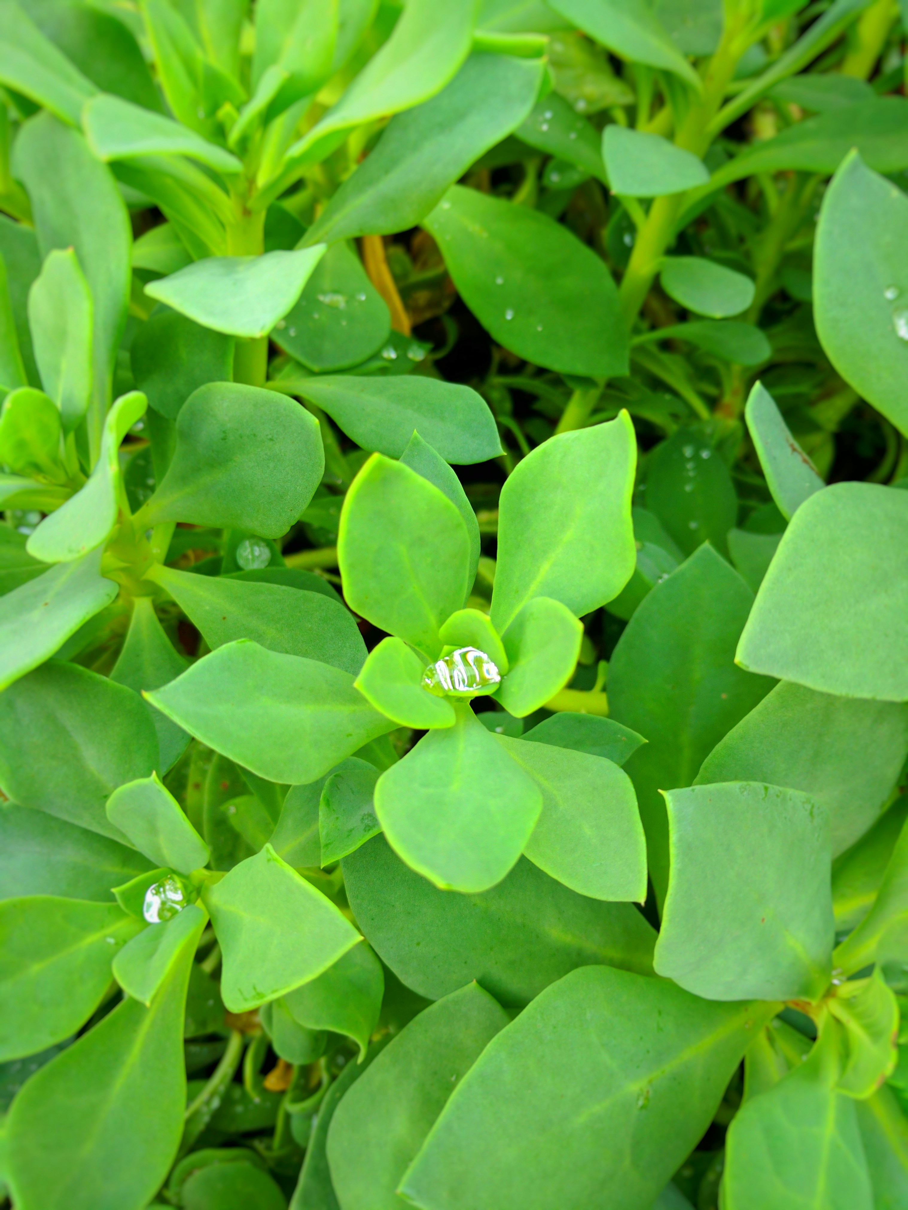 Free Unsplash photo from Jesse Hutchinson