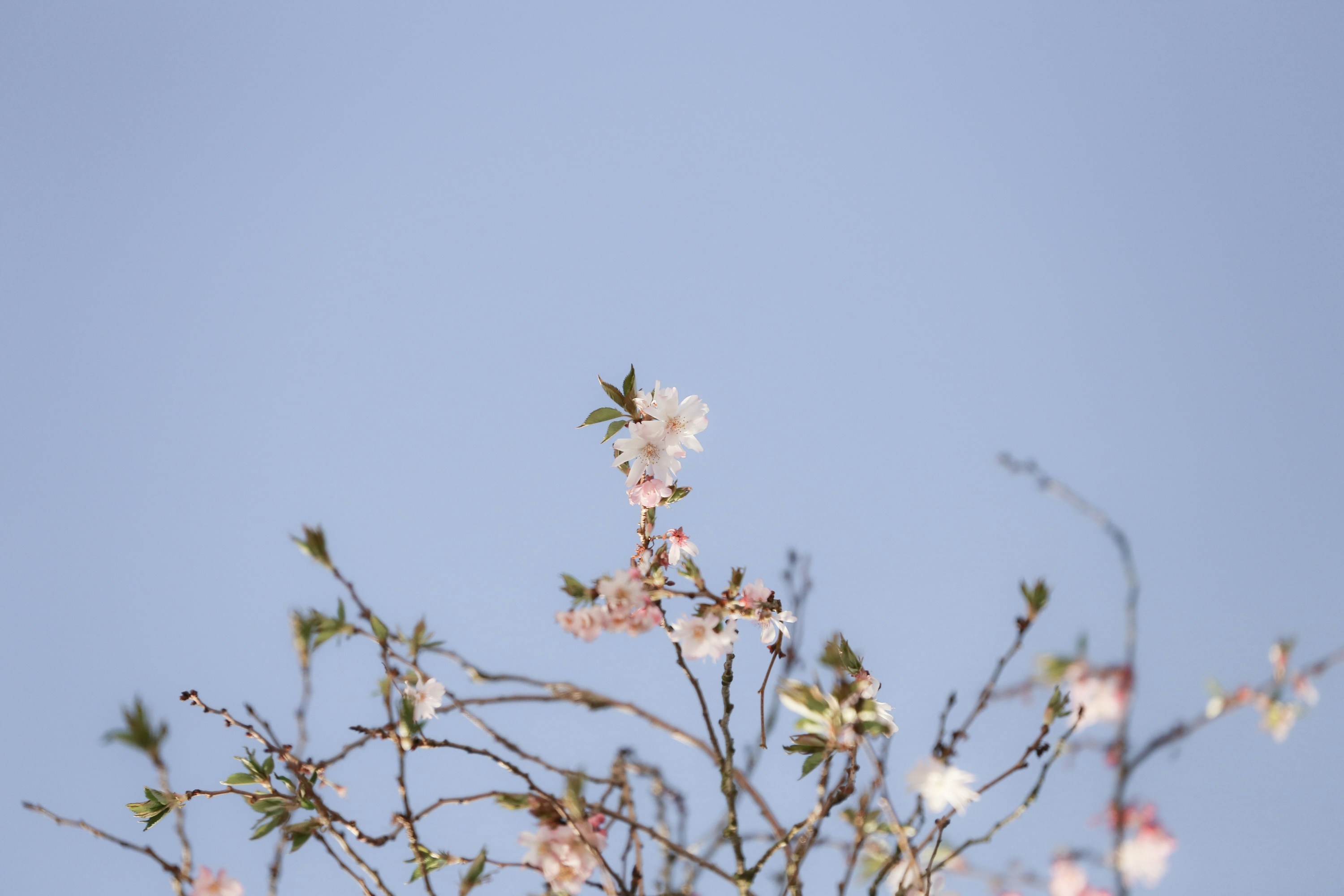 Free Unsplash photo from James Padolsey