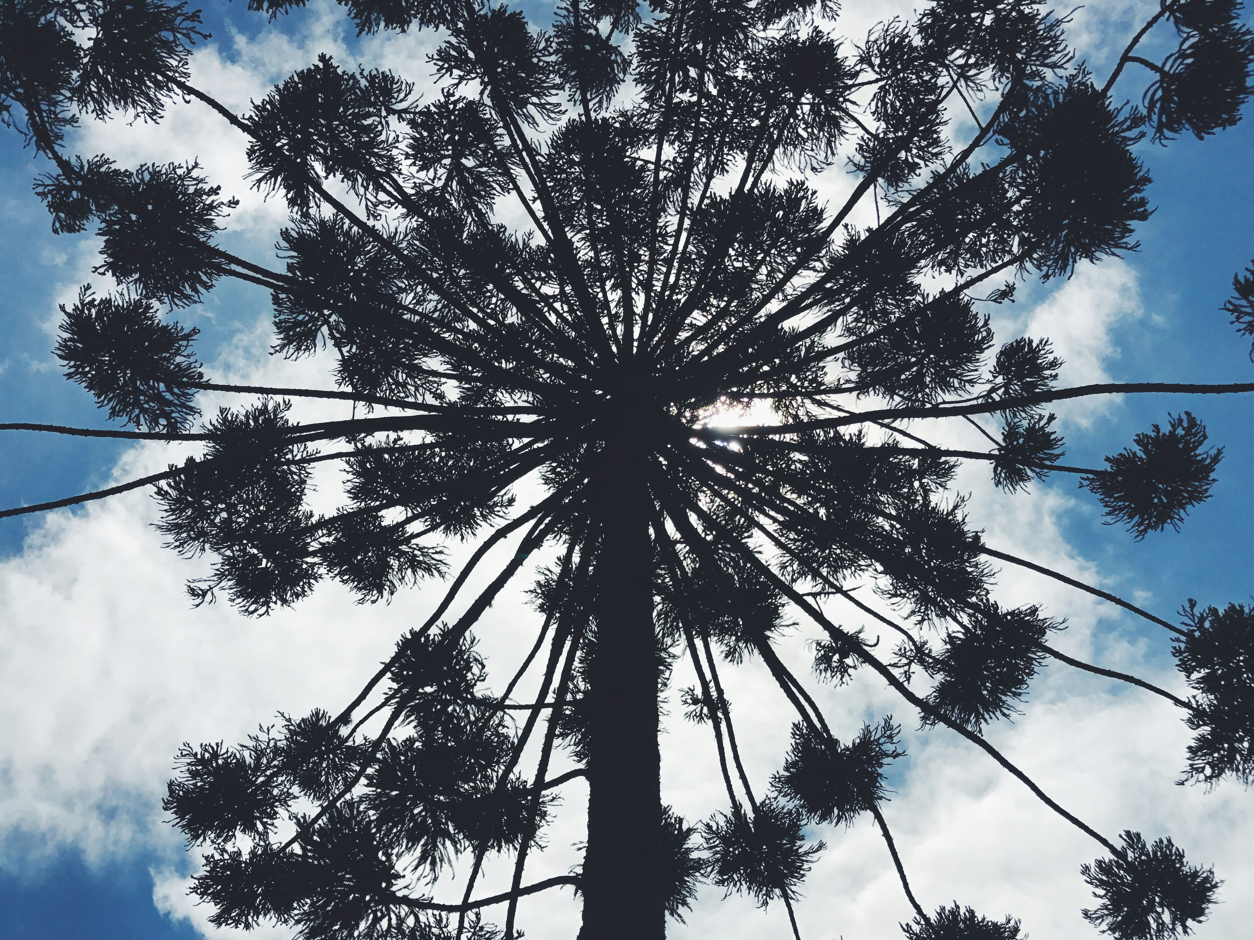 Free Unsplash photo from Maurício Fernandes