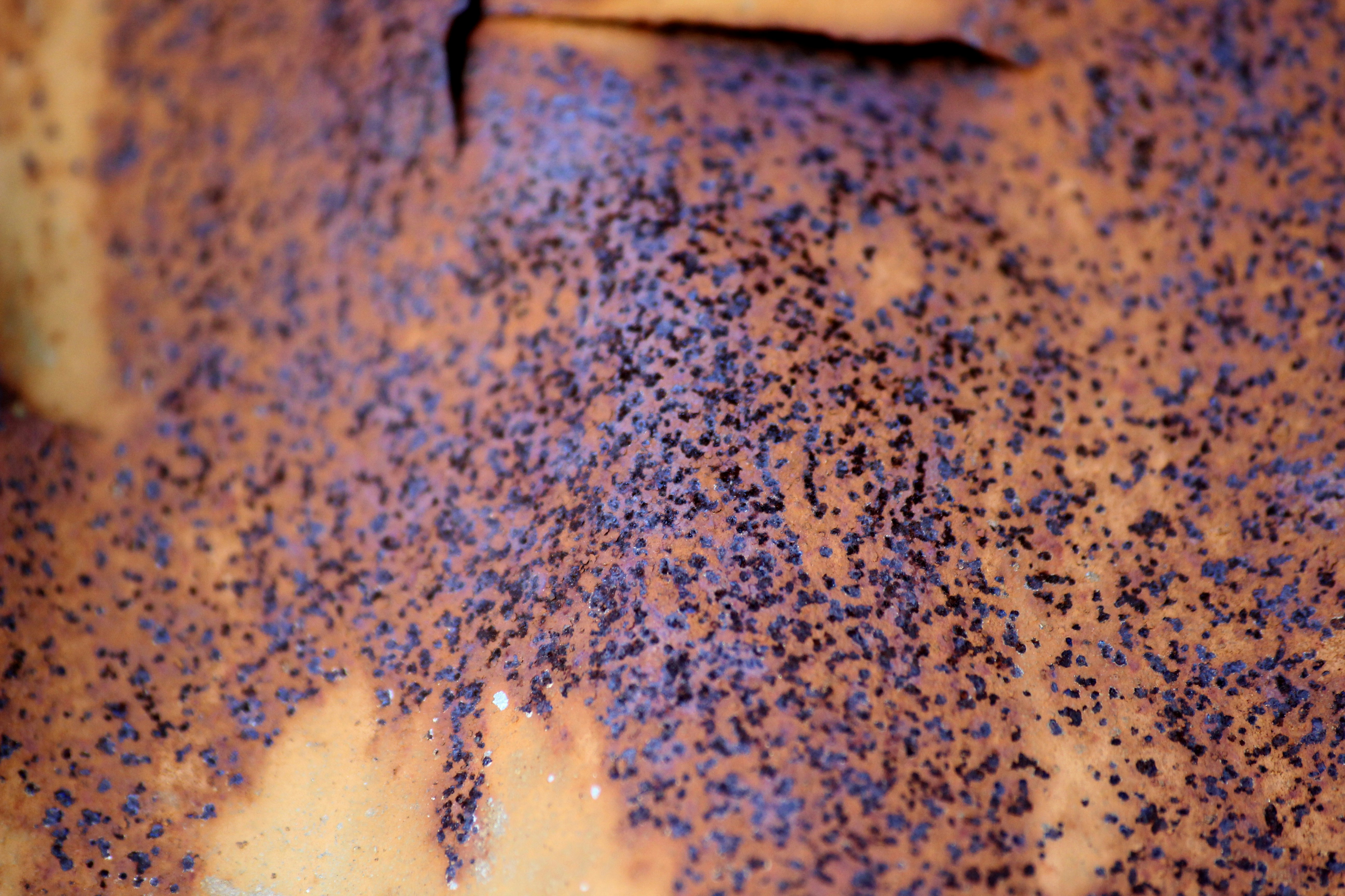 Free Unsplash photo from Brad Helmink