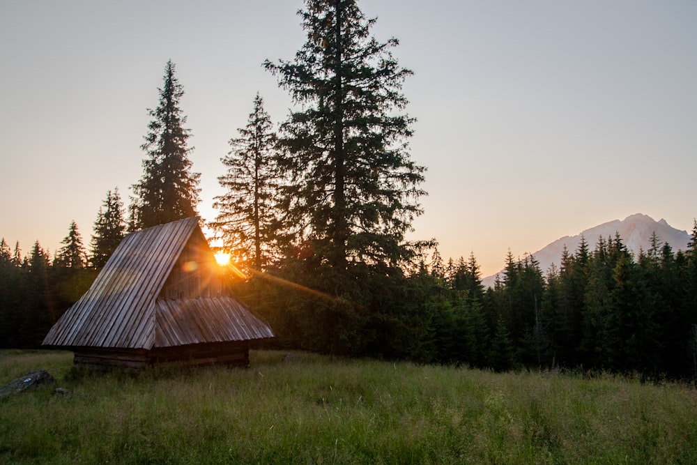 brown house near pine trees during sunset landscape photography
