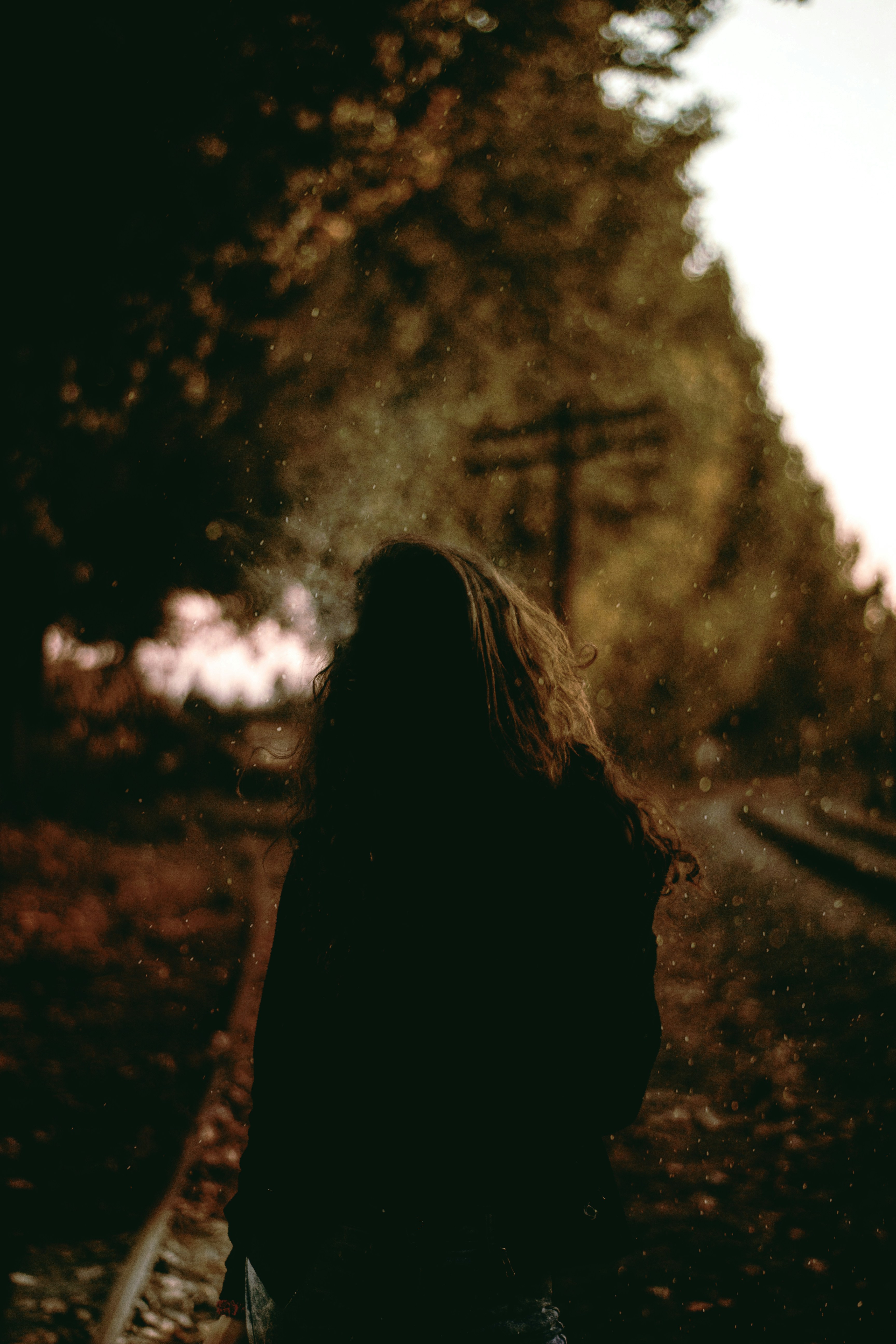 Free Unsplash photo from erik cid