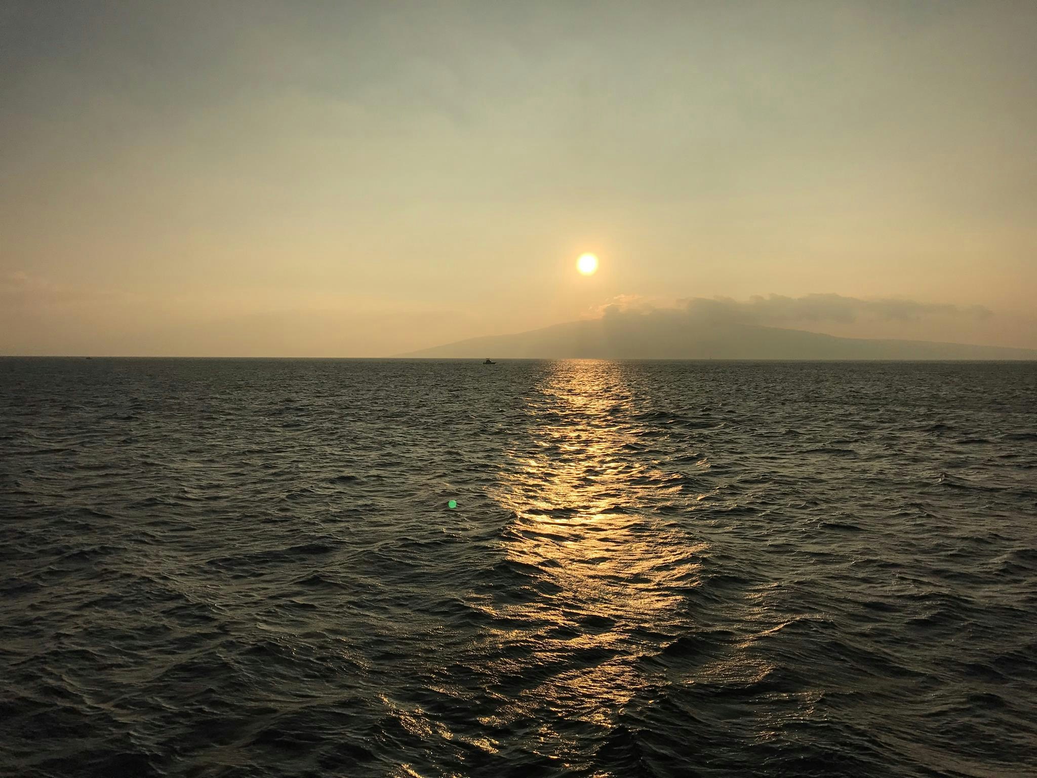 Free Unsplash photo from Ian McRoman