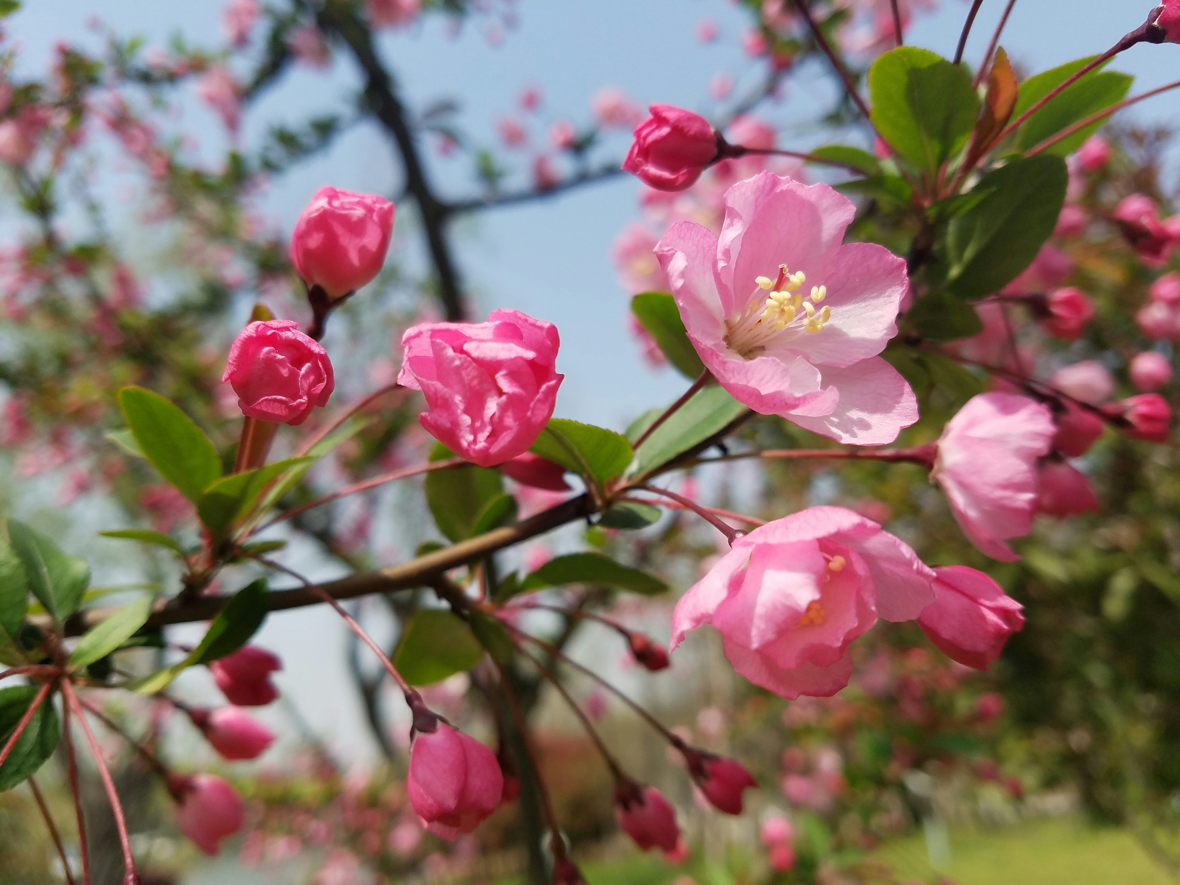 Free Unsplash photo from zhang qi