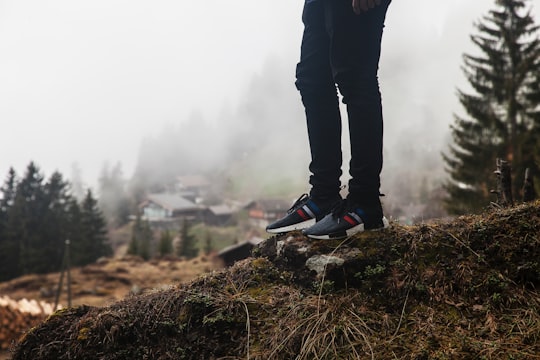 person standing on rock outdoor during daytime in Wengen Switzerland