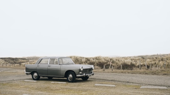 A vintage-looking car is parked on a deserted road with a backdrop of grassy dunes. The setting appears to be overcast, creating a muted and serene atmosphere. The landscape seems to be coastal, with a flat and expansive horizon.