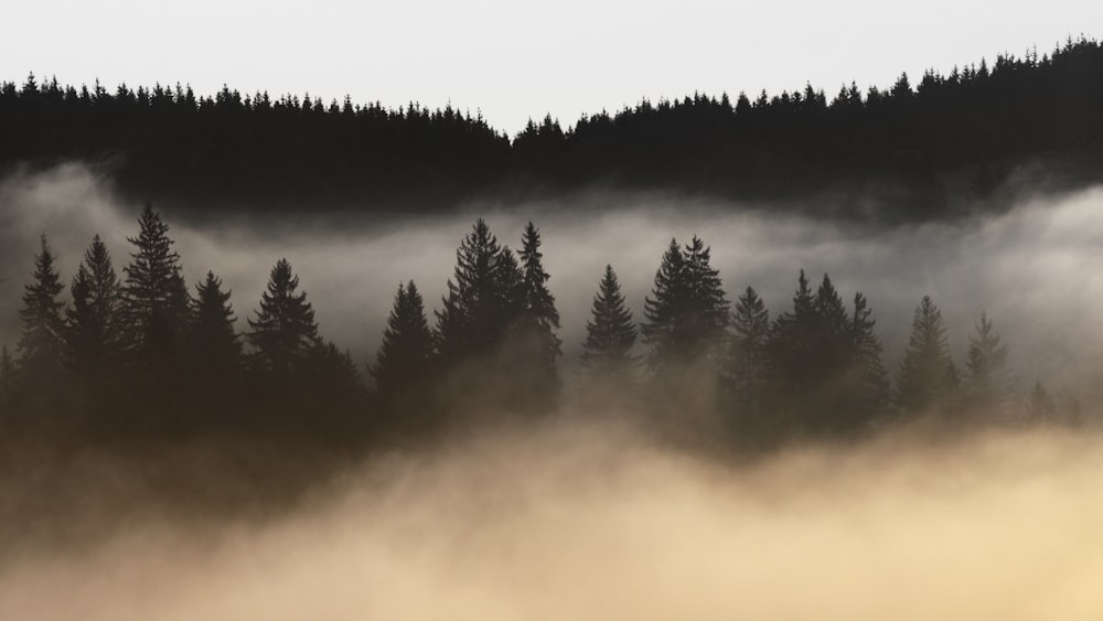 Berg mit Nebel bedeckt