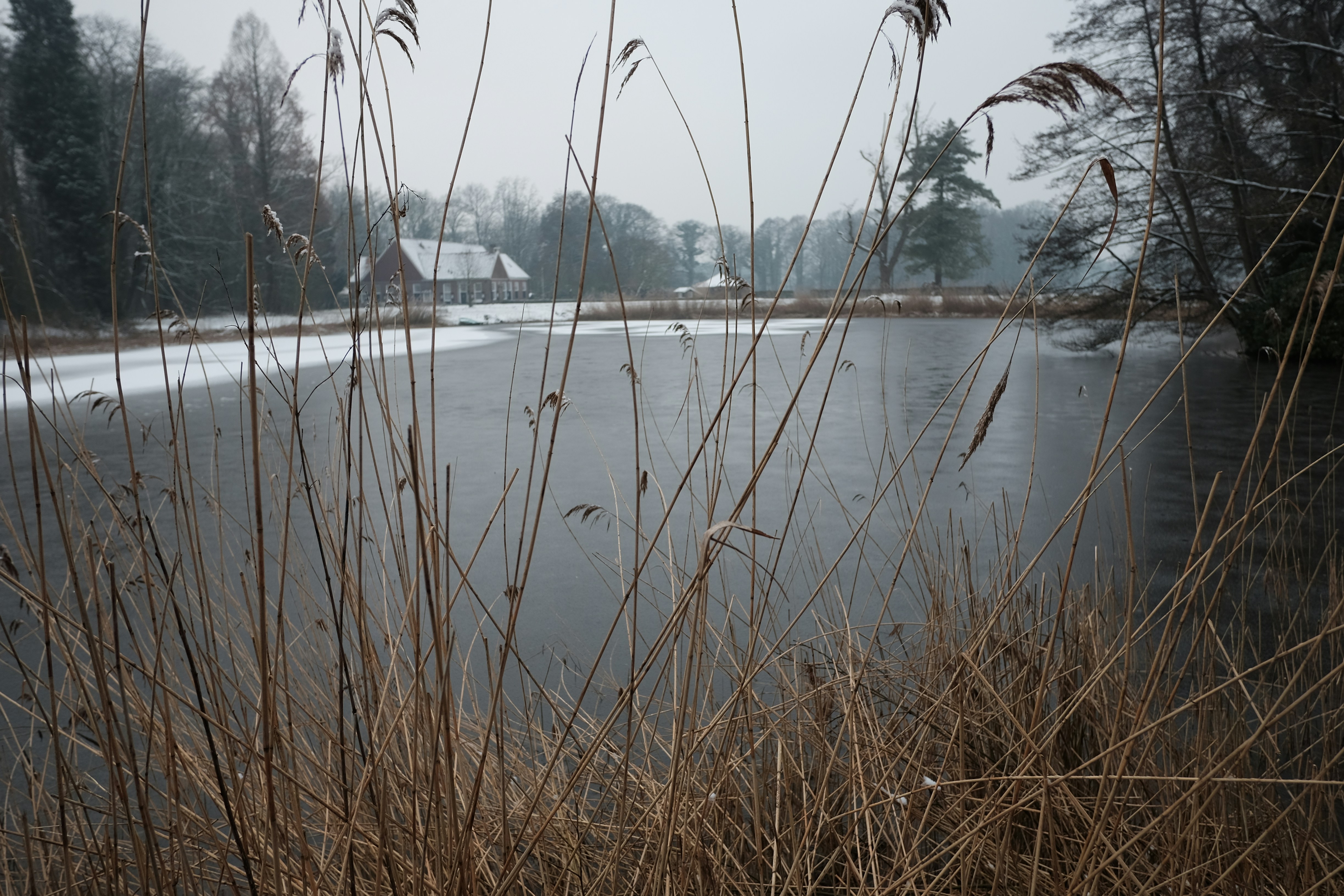 Free Unsplash photo from Demi Kuijper